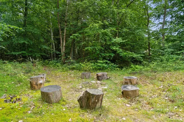 Bild 7 von 27