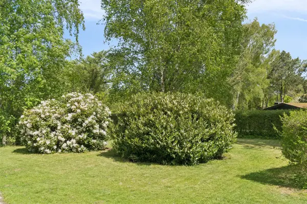 Bild 26 von 43