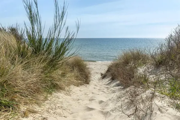 Bild 3 von 26