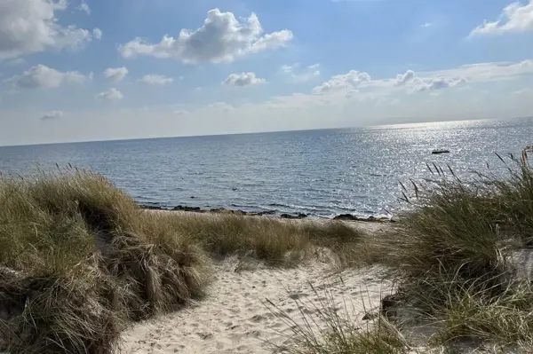 Bild 7 von 30