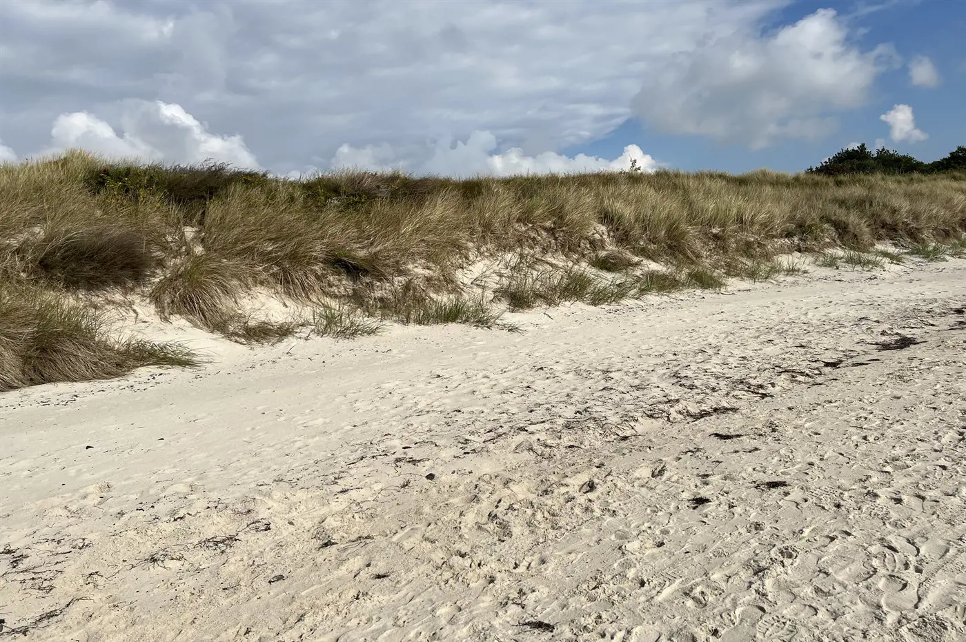 Bild 32 von 33
