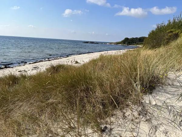 Bild 30 von 30