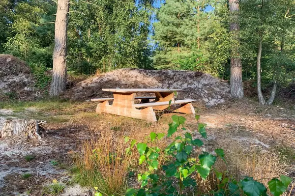 Bild 34 von 36