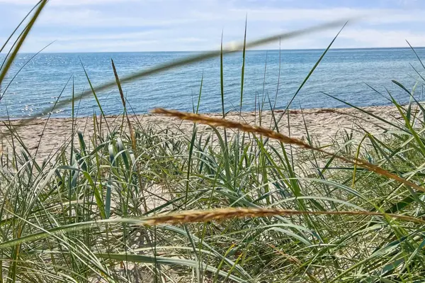 Bild 3 von 30