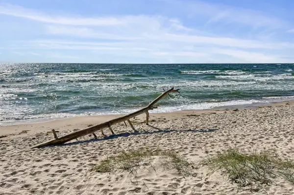 Bild 29 von 31