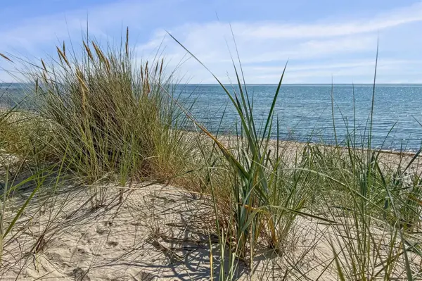 Bild 2 von 29