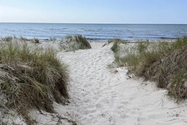 Bild 29 von 32