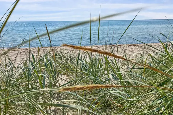 Bild 30 von 32