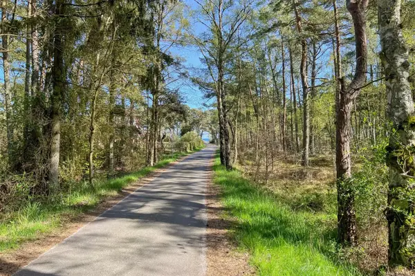 Bild 5 von 25