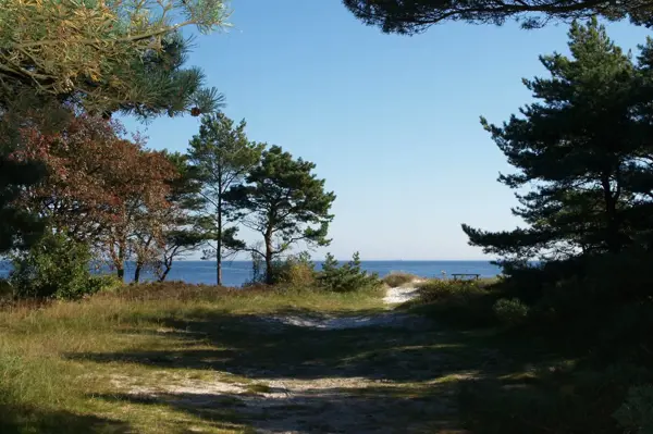 Bild 18 von 18