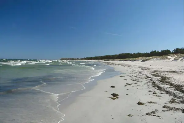 Bild 17 von 18