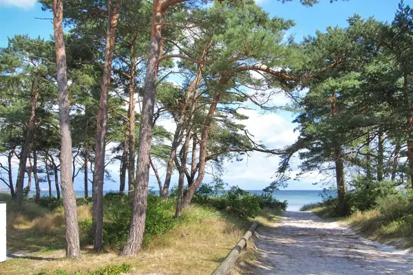 Bild 31 von 34