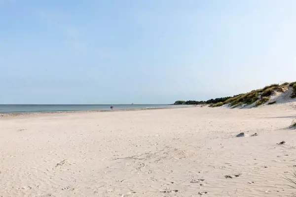 Bild 2 von 31