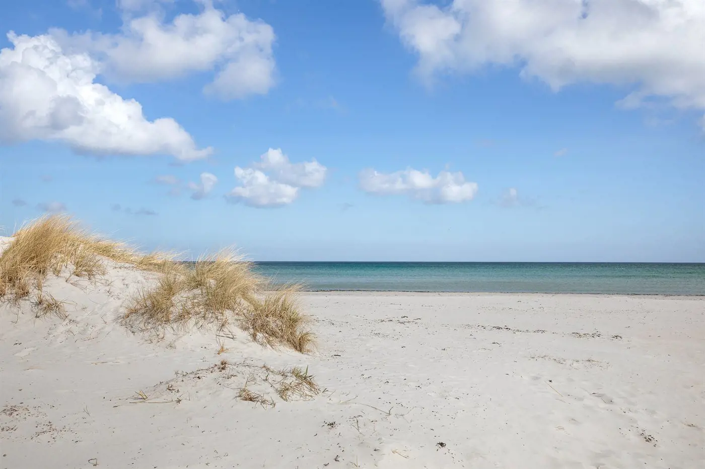 Bild 18 von 18