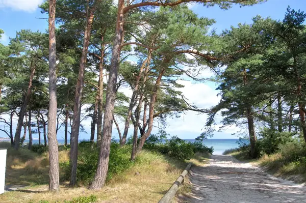 Bild 2 von 28