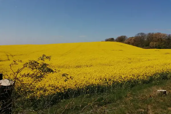 Bild 14 von 15