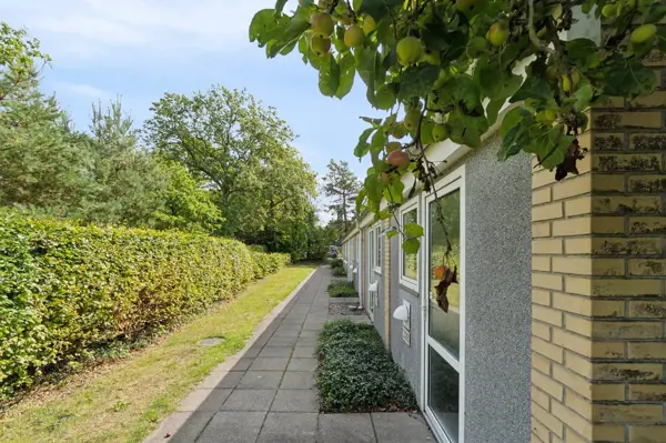 Bild 23 von 25