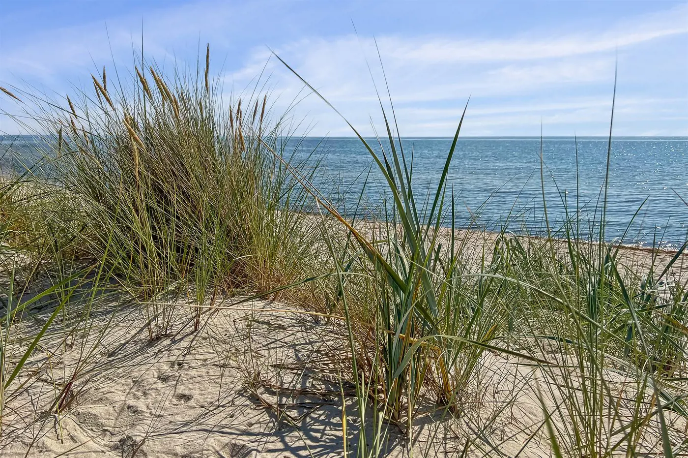 Bild 30 von 30