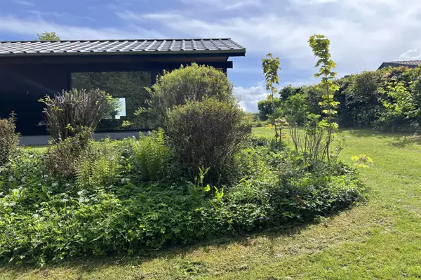 Bild 2 von 30