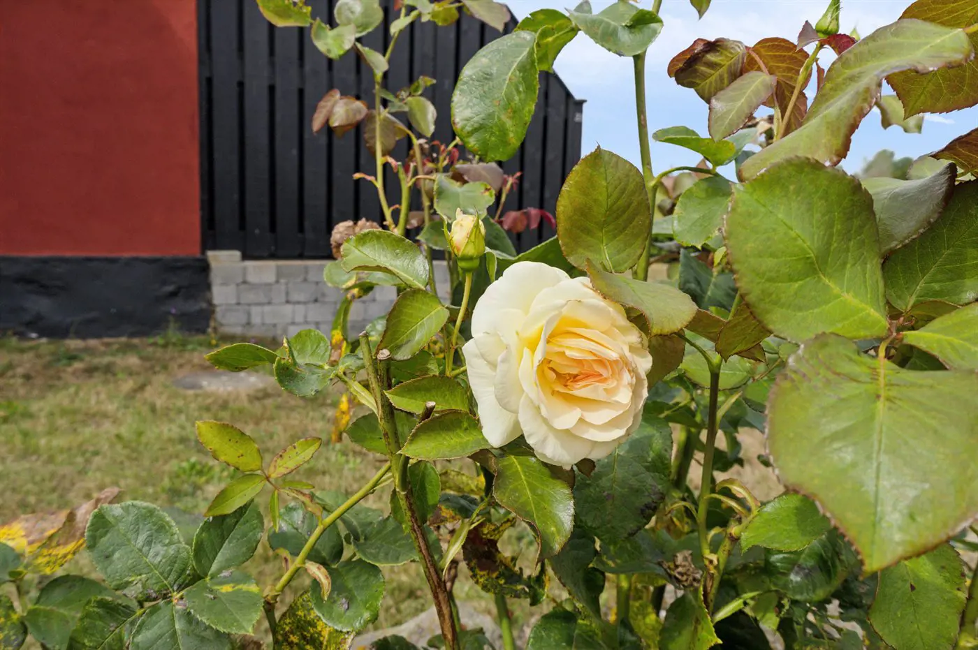 Bild 29 von 29