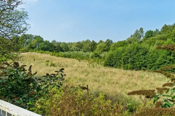 Bild 8 von 26