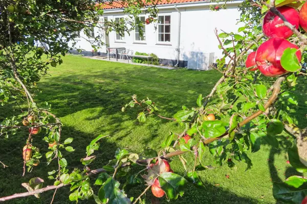 Bild 17 von 27
