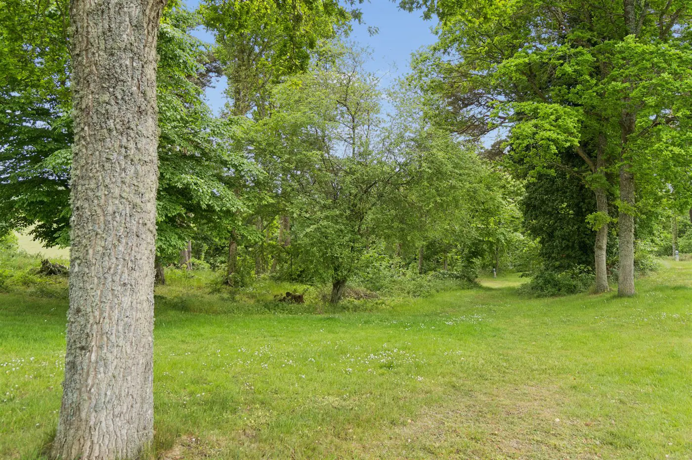 Bild 23 von 28