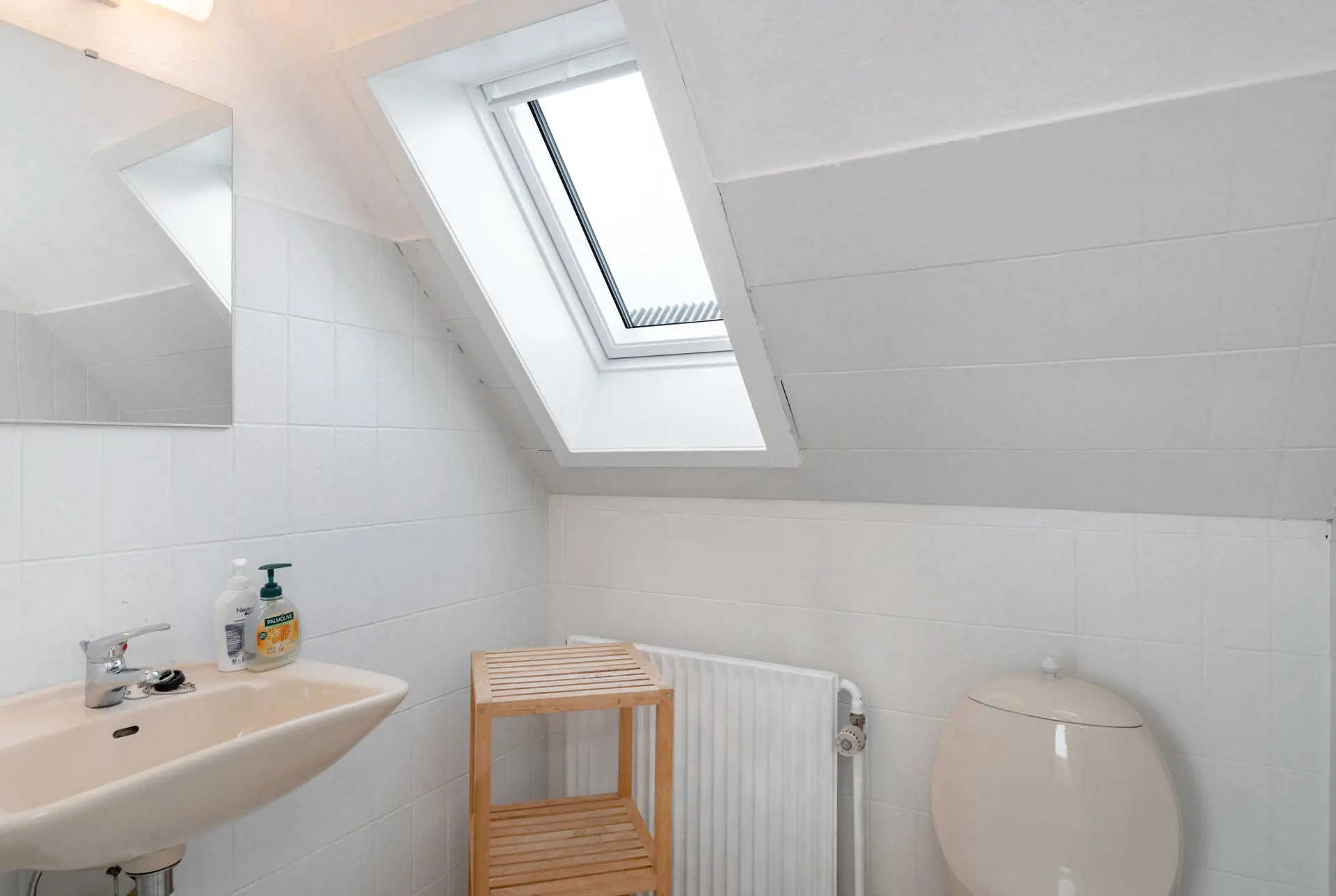 Bild 19 von 23