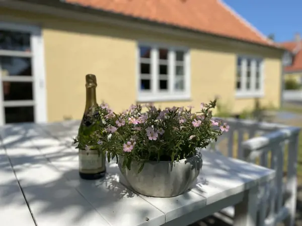 Bild 6 von 33
