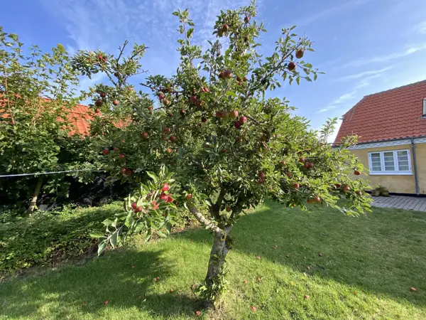 Bild 29 von 33