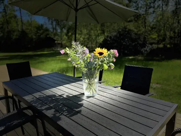 Bild 25 von 26