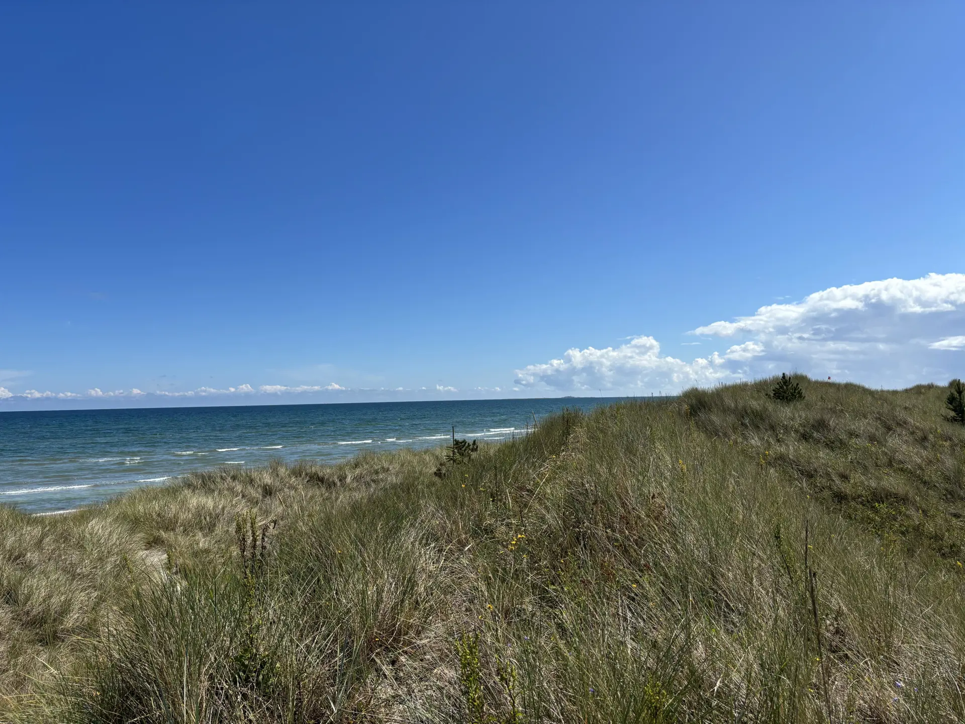 Bild 23 von 32
