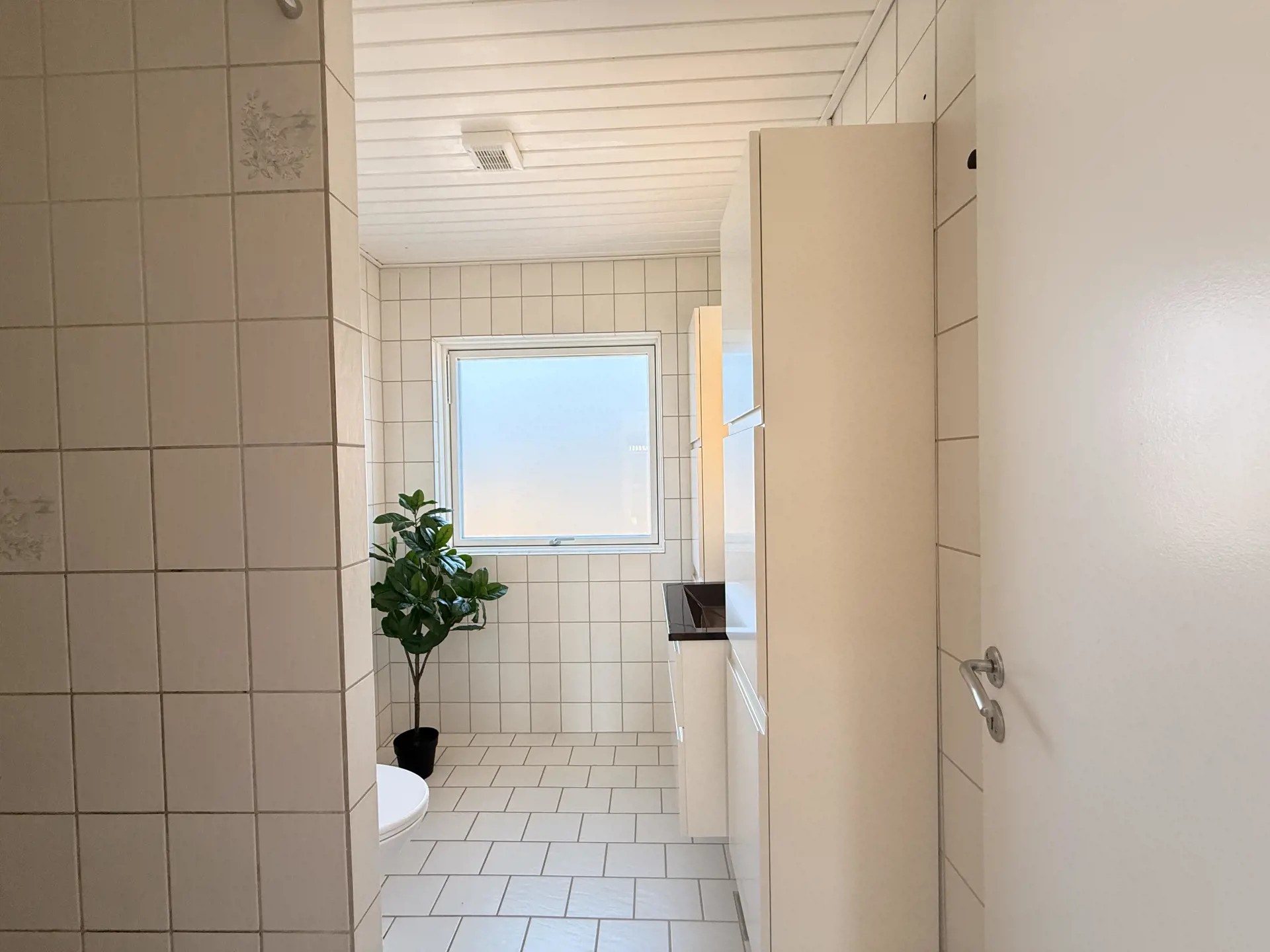 Bild 21 von 31
