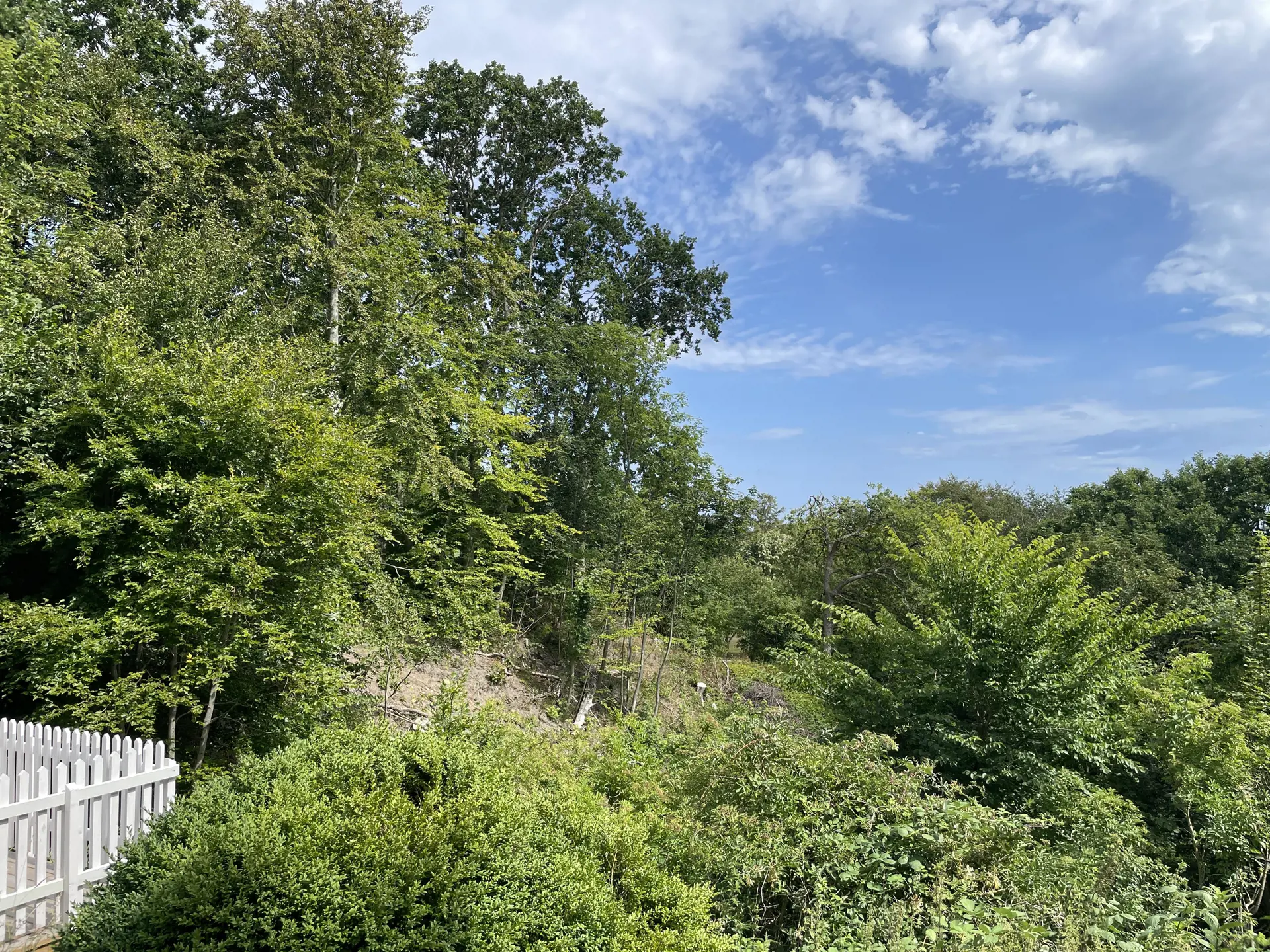 Bild 18 von 20