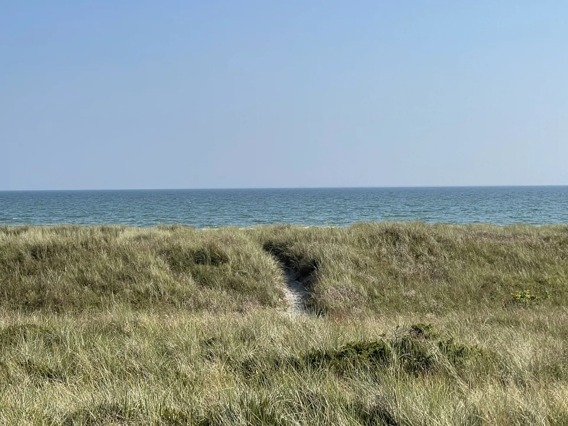 Bild 31 von 32
