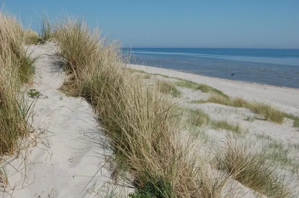Bild 26 von 27