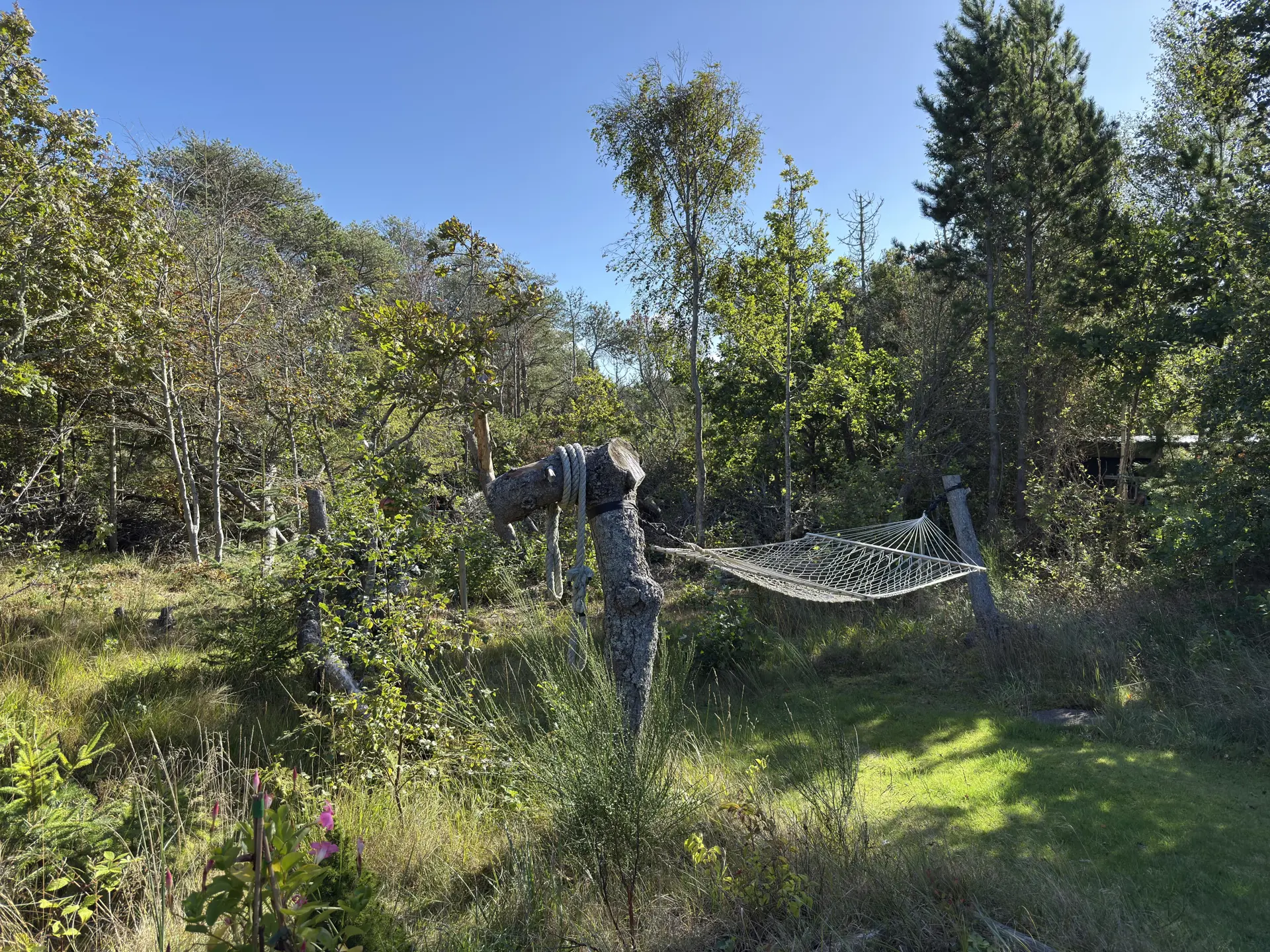 Bild 19 von 24