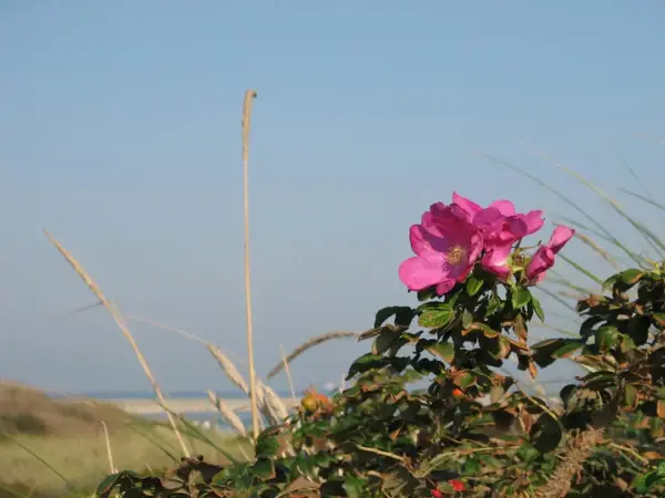 Bild 32 von 34
