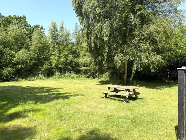 Bild 15 von 15