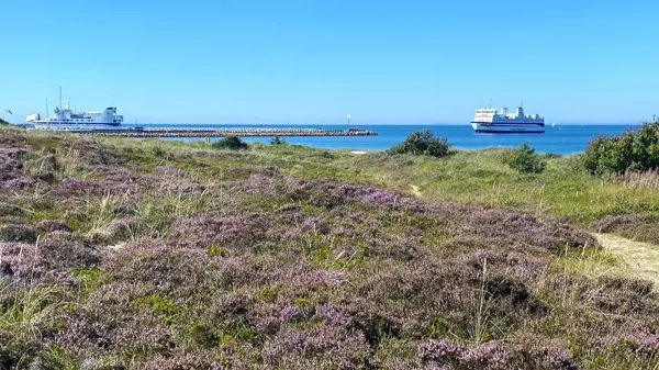 Ferienhaus VHE-12 in Vesterø / Læsø Bild: 4