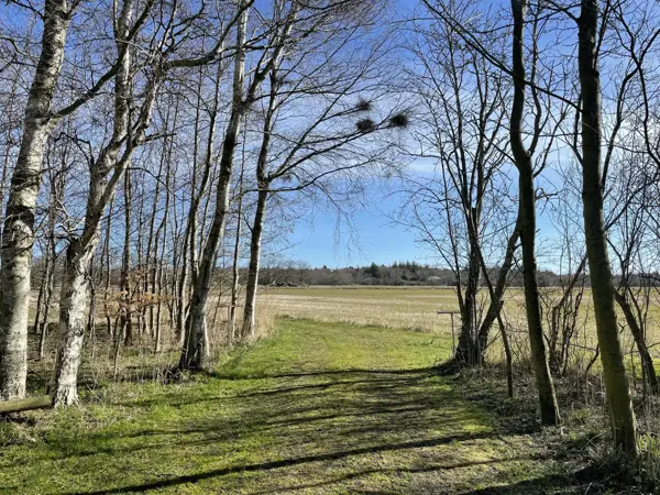 Bild 23 von 23