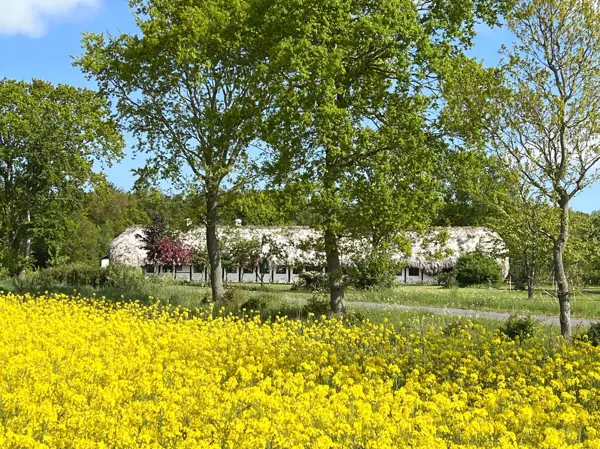 Bild 2 von 16