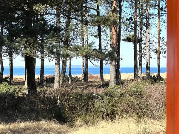 Bild 2 von 19