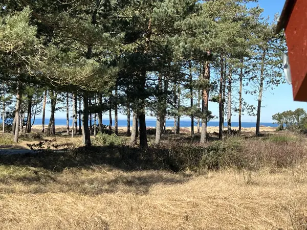Bild 18 von 19