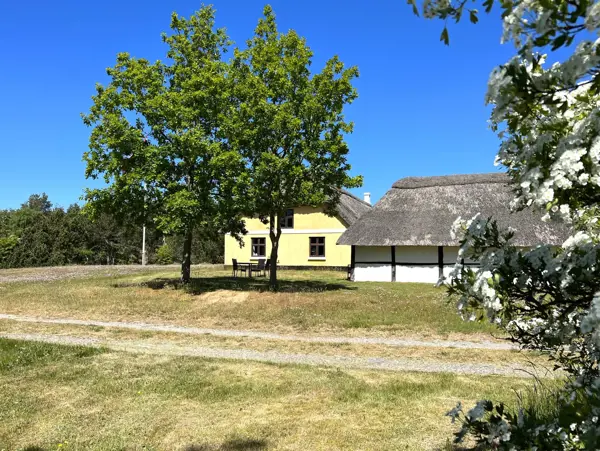 Bild 29 von 31