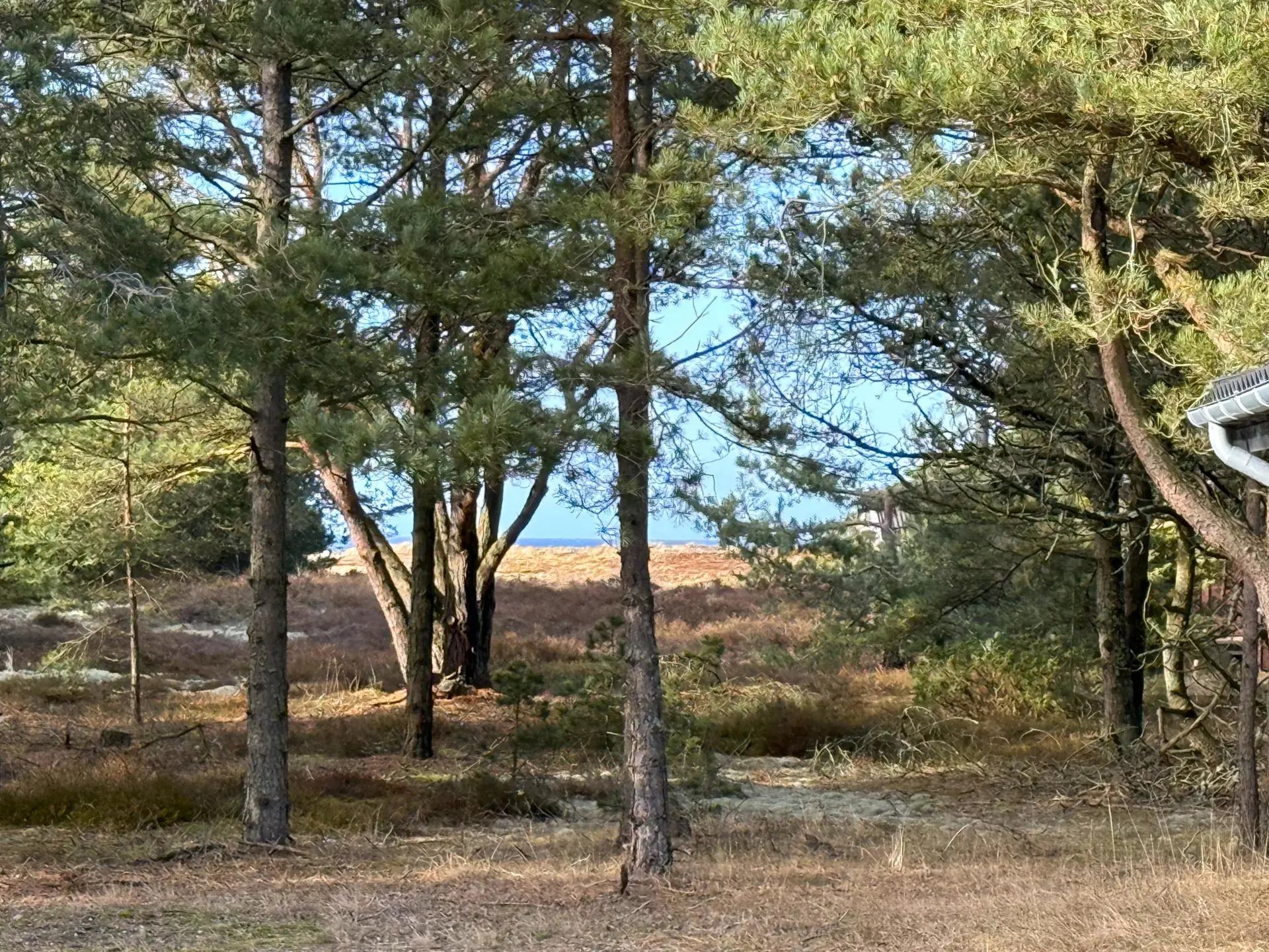 Bild 27 von 29