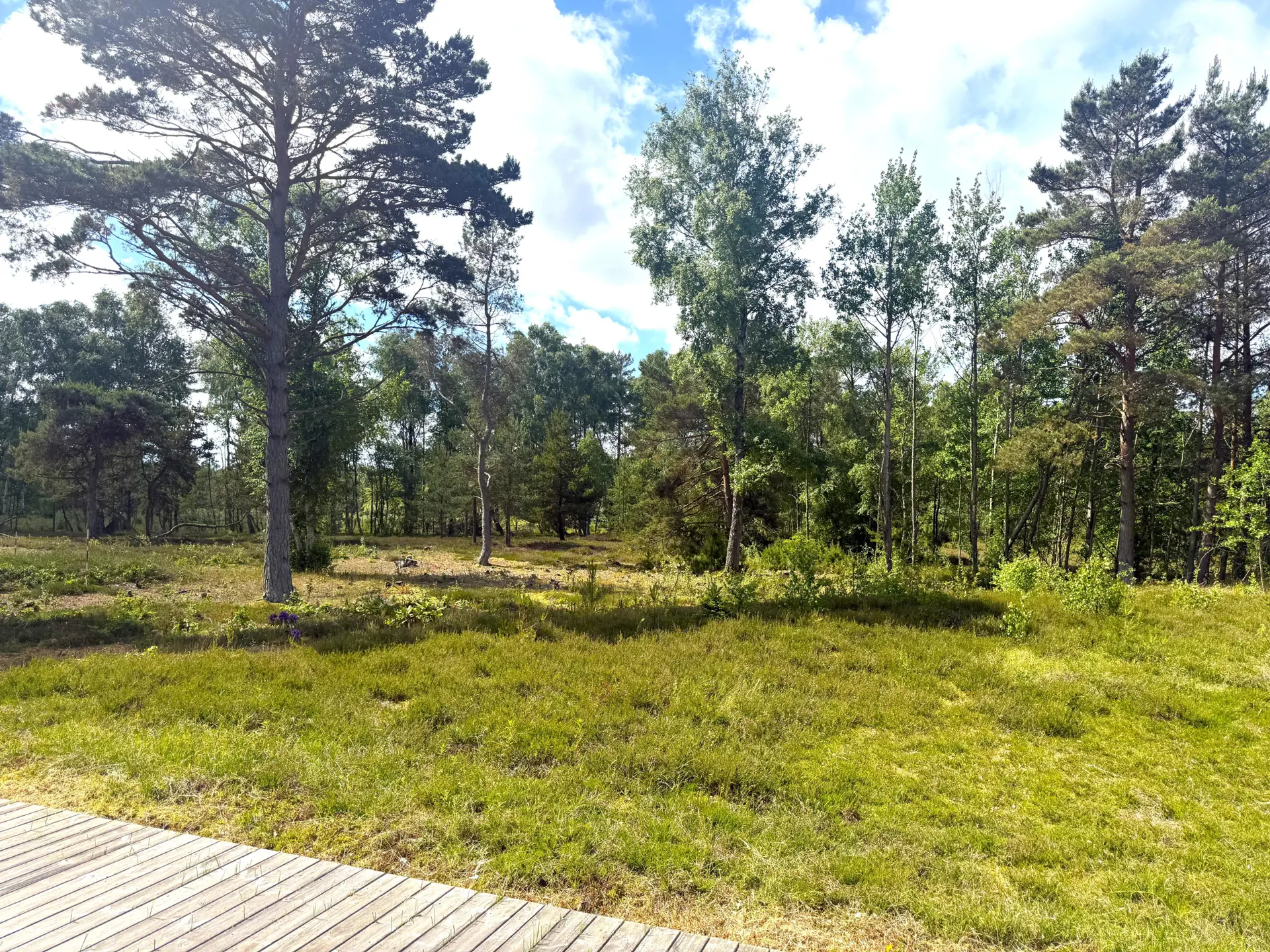 Bild 14 von 18