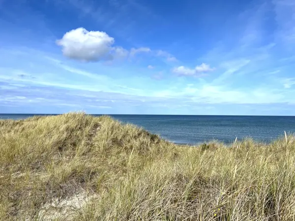 Bild 19 von 20