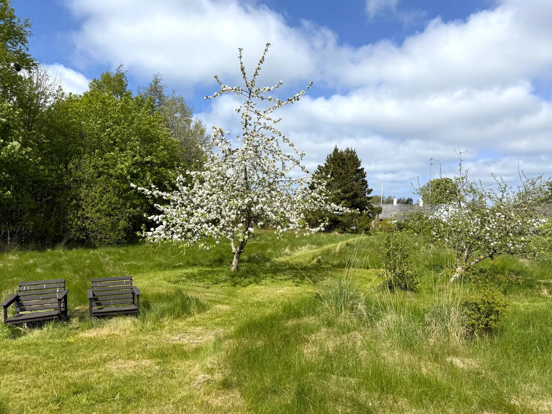 Bild 26 von 31