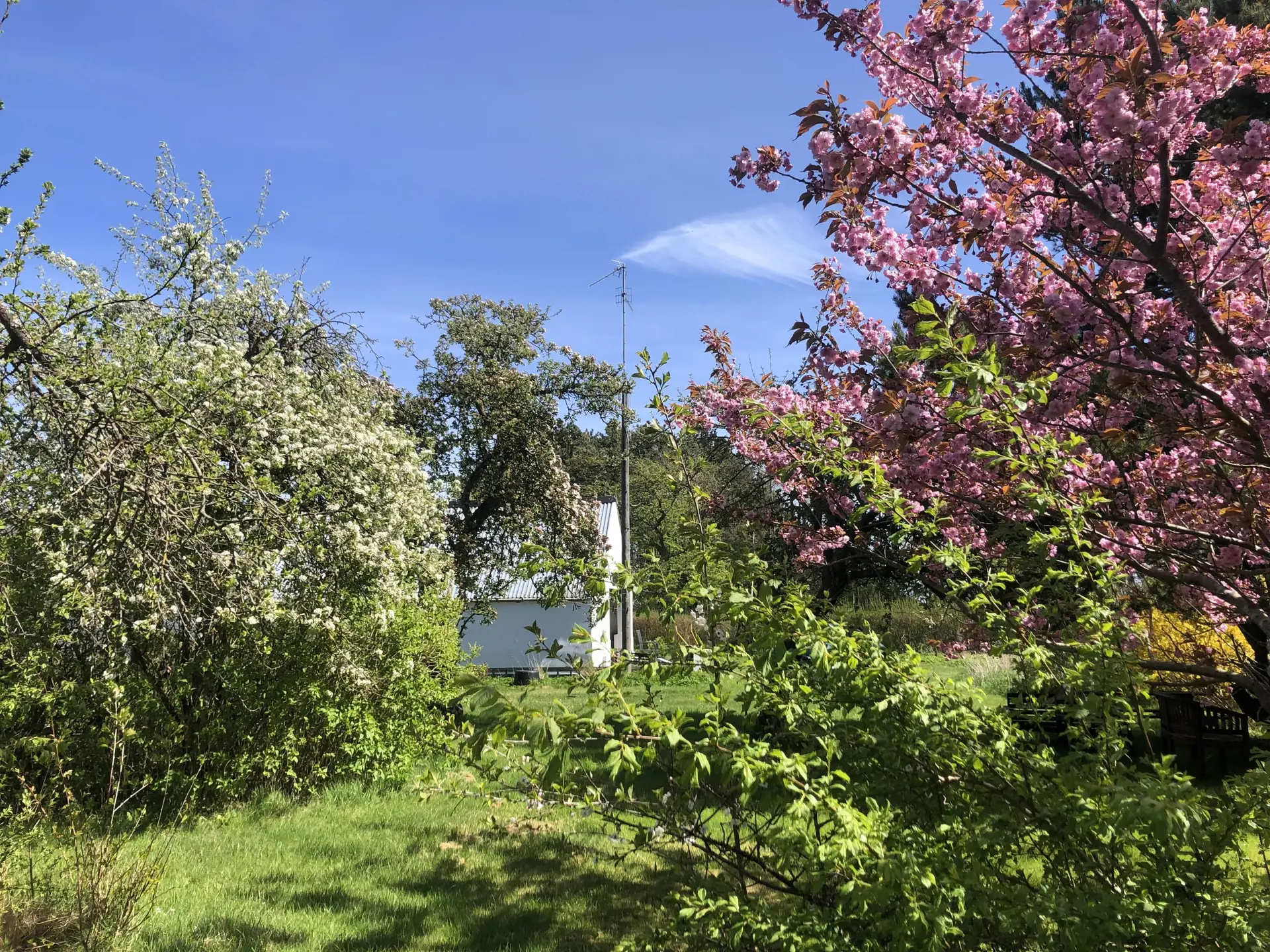 Bild 29 von 31